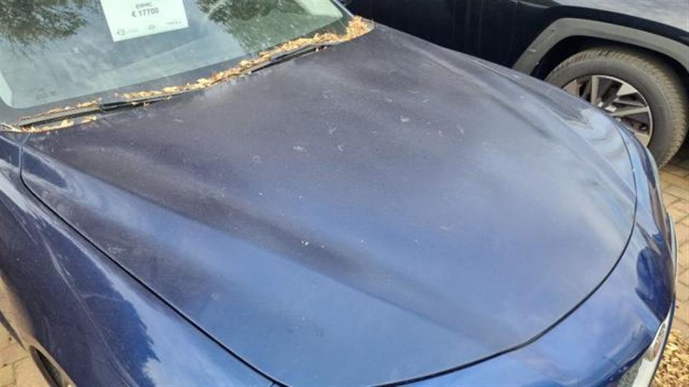 Giulia Giulia 2.2 Turbodiesel 180