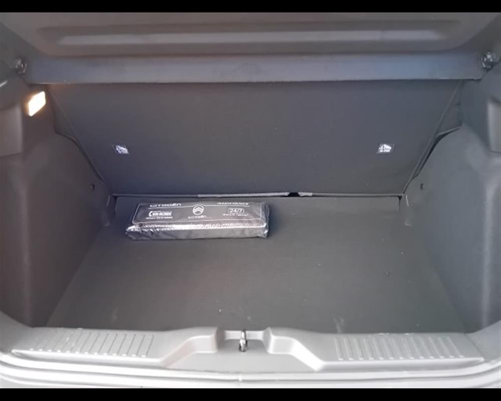 C3 C3 1.2 puretech You 100