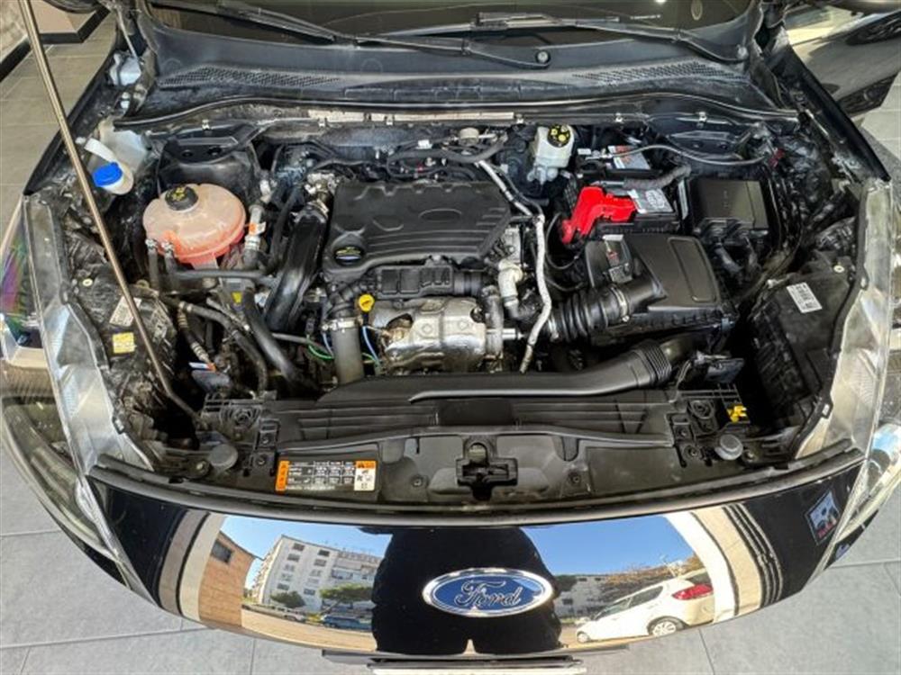 Kuga Kuga 1.5 EcoBlue 120 CV 2