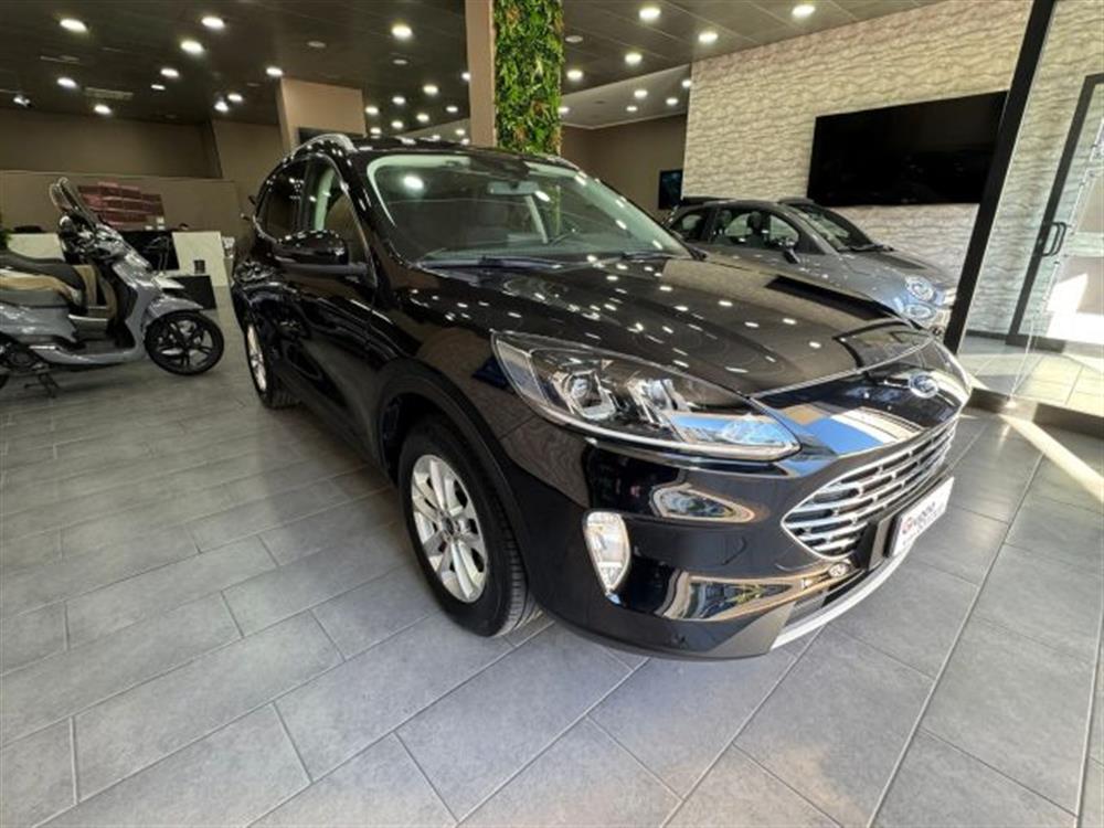 Kuga Kuga 1.5 EcoBlue 120 CV 2