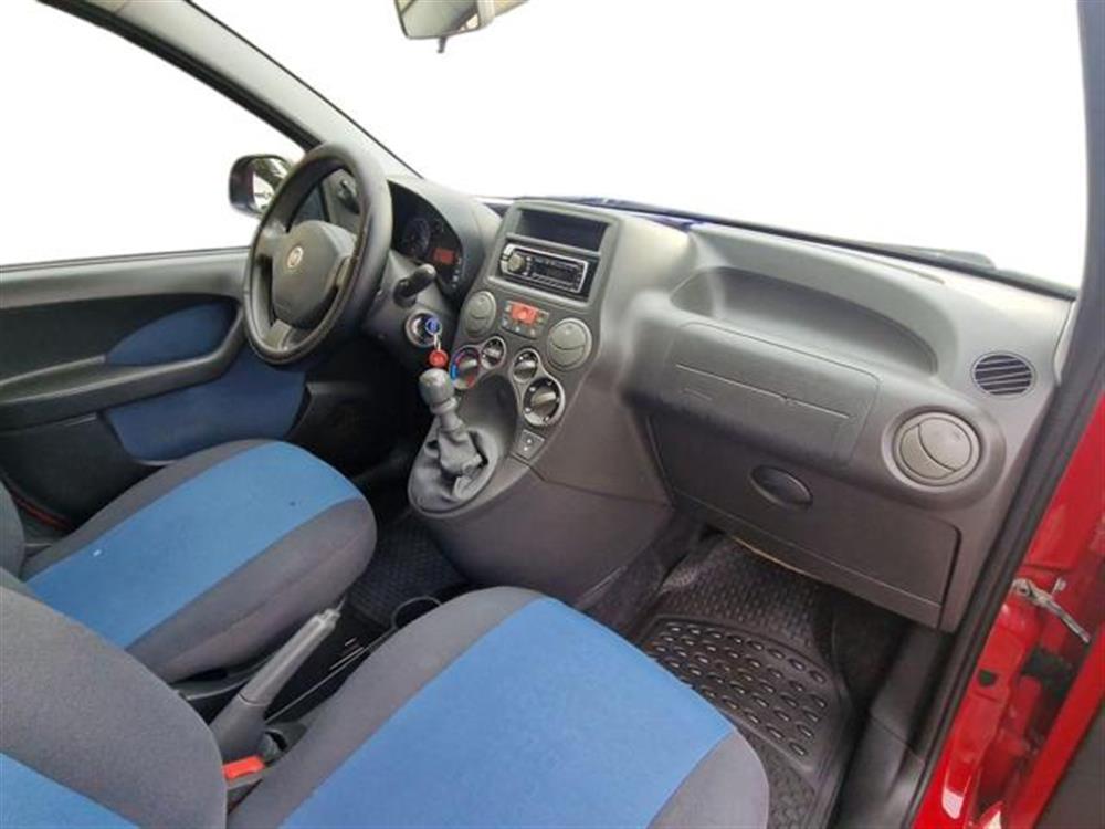 Panda   Panda 1.2 Dynamic Natural