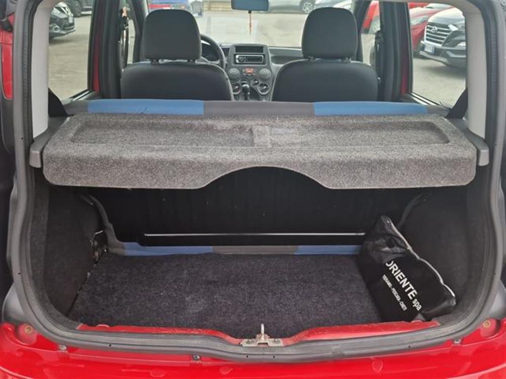 Panda   Panda 1.2 Dynamic Natural