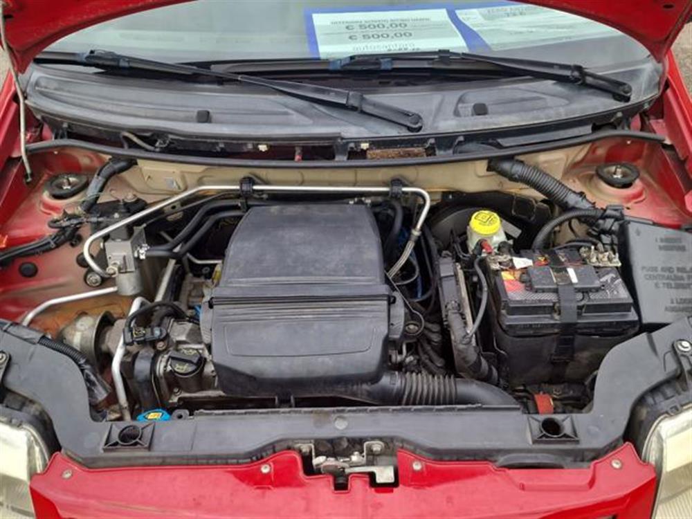 Panda   Panda 1.2 Dynamic Natural