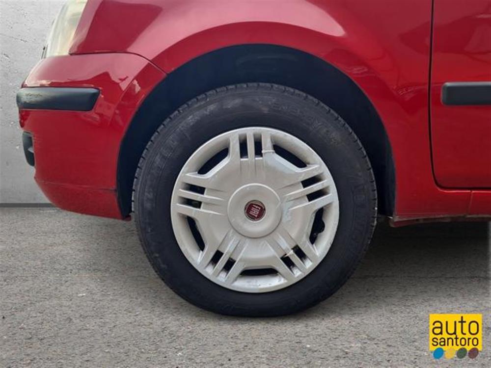 Panda   Panda 1.2 Dynamic Natural