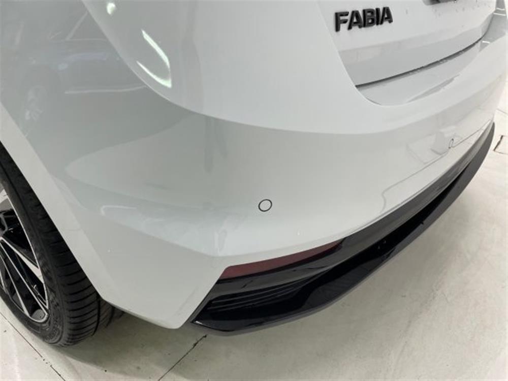 Fabia   Fabia 1.0 MPI Monte Carlo