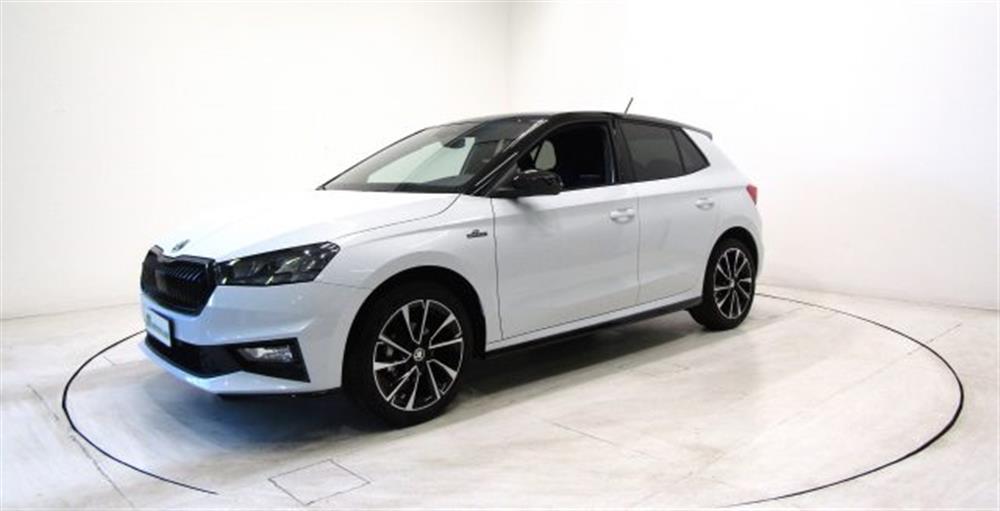Fabia   Fabia 1.0 MPI Monte Carlo
