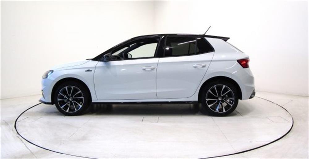 Fabia   Fabia 1.0 MPI Monte Carlo