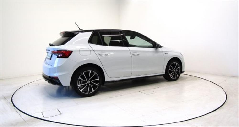 Fabia   Fabia 1.0 MPI Monte Carlo