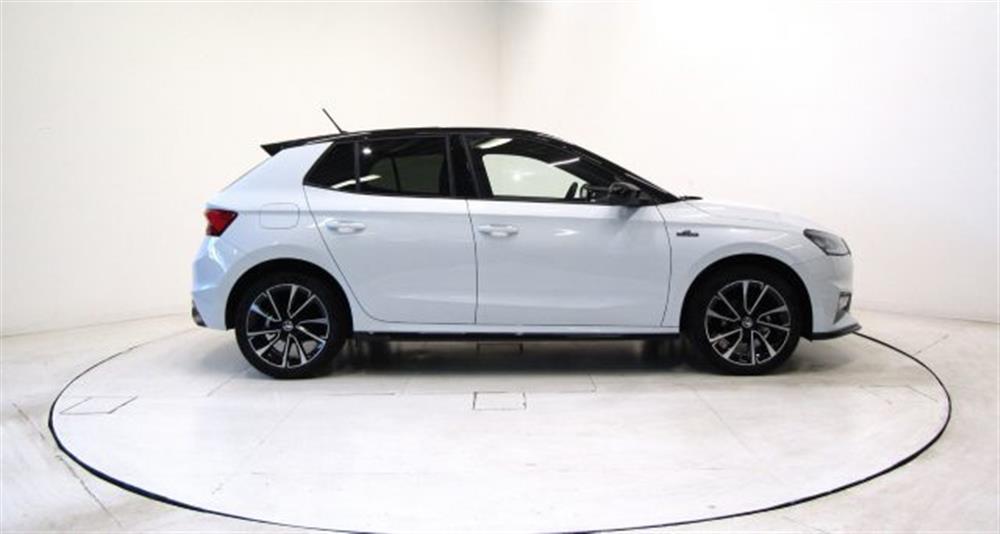 Fabia   Fabia 1.0 MPI Monte Carlo