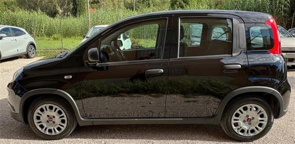 Panda Panda 1.0 FireFly S&S Hybr