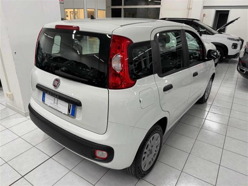 Panda   Panda 1.2 Easy
