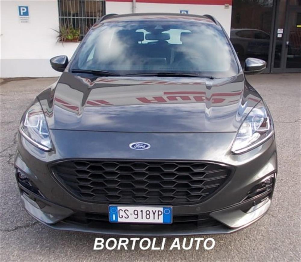Kuga   Kuga 2.0 ECOBLUE 1.900 KM