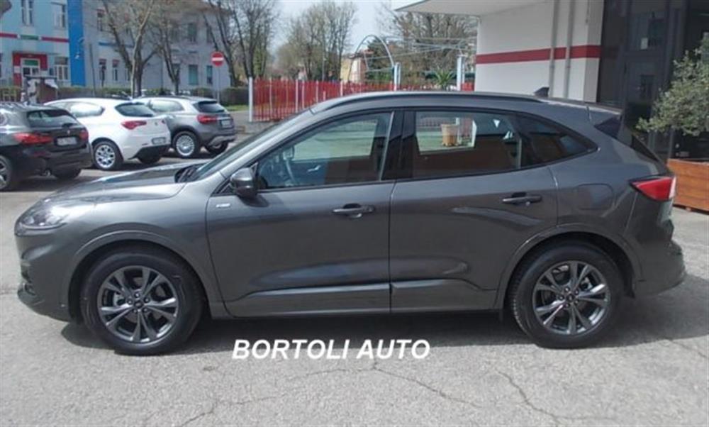 Kuga   Kuga 2.0 ECOBLUE 1.900 KM