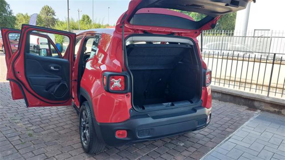 Renegade   Renegade 1.6 Mjt 130 CV Longi