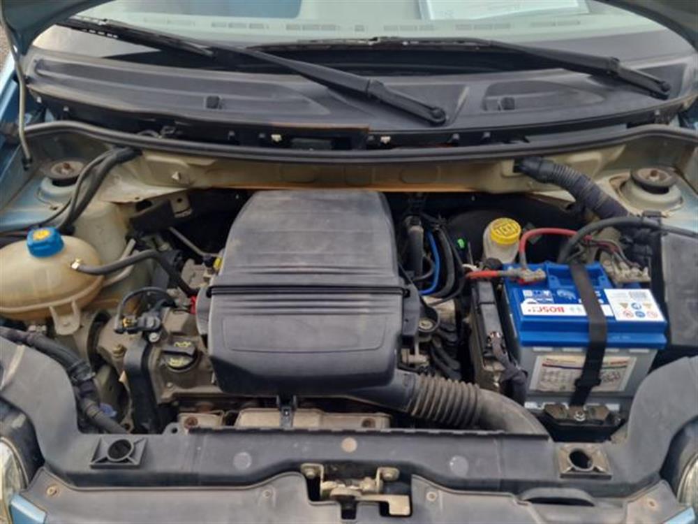 Panda   Panda 1.2 Dynamic