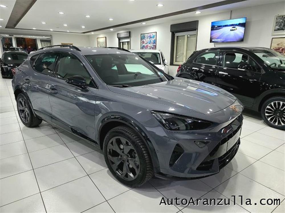 Formentor Formentor NEW 2.0 TDI 150CV DS