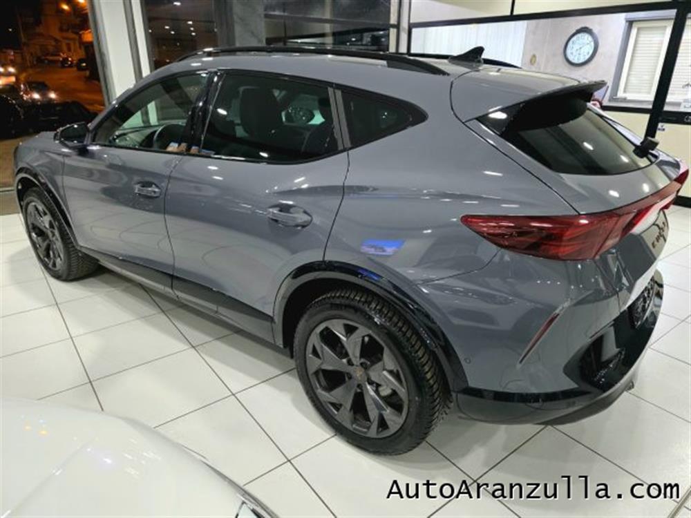 Formentor Formentor NEW 2.0 TDI 150CV DS