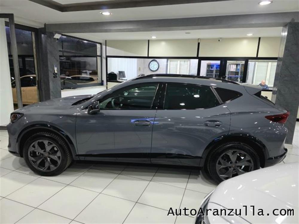 Formentor Formentor NEW 2.0 TDI 150CV DS