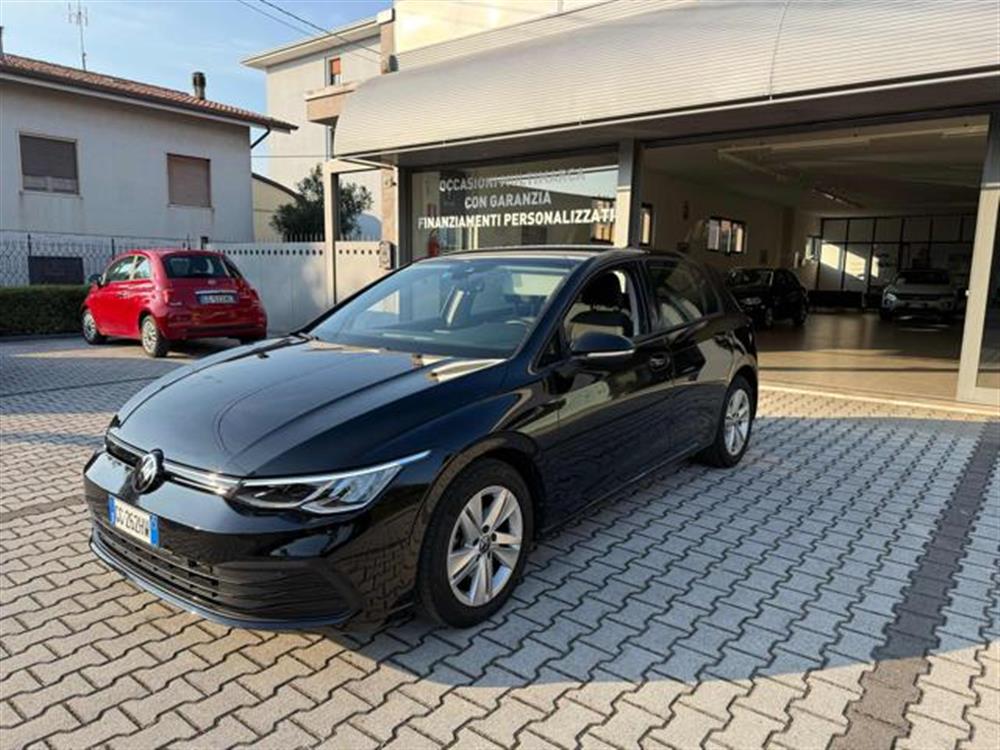 Golf   Golf 1.5 eTSI Evo Live 13