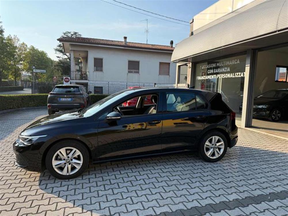 Golf   Golf 1.5 eTSI Evo Live 13
