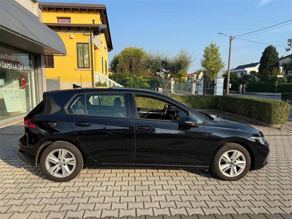 Golf   Golf 1.5 eTSI Evo Live 13