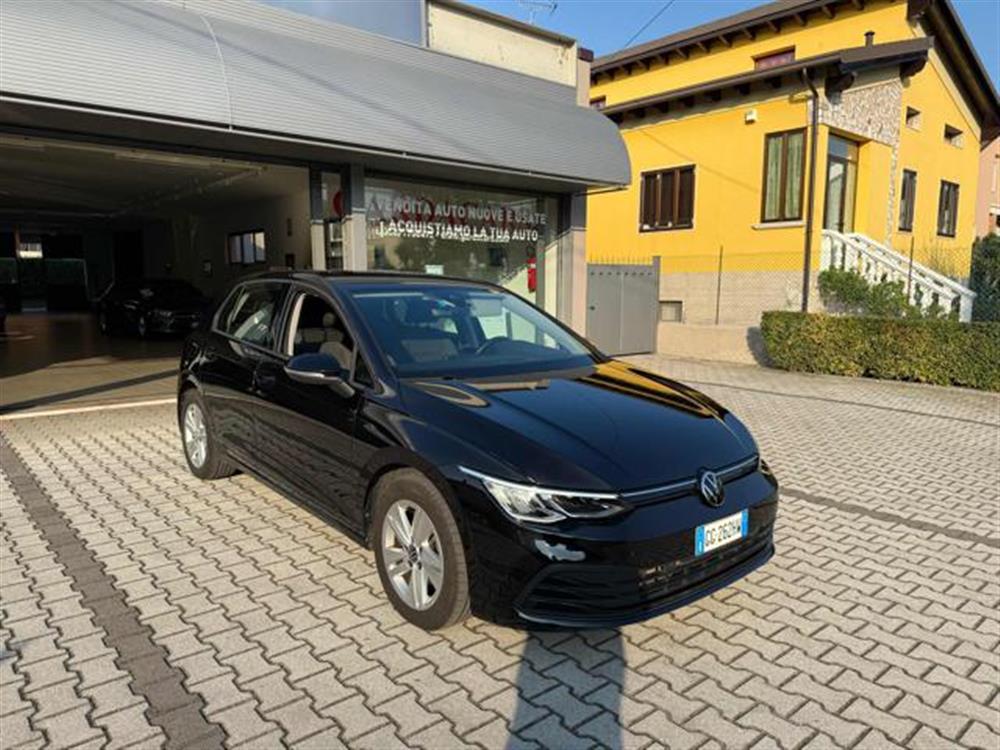 Golf   Golf 1.5 eTSI Evo Live 13