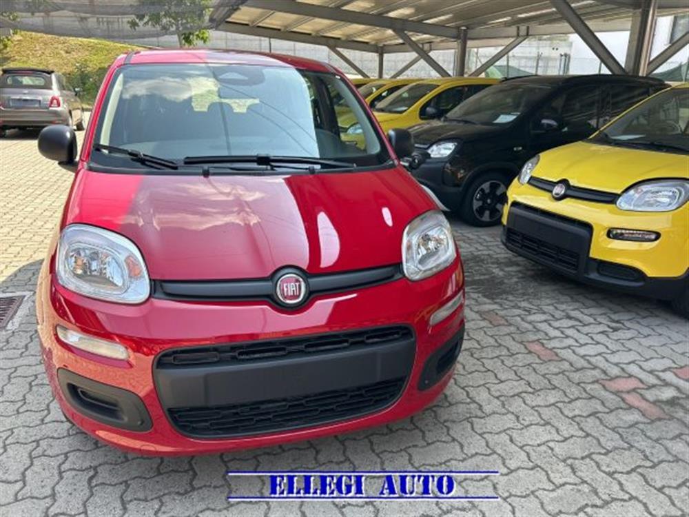 Panda   Panda 1.0 HYBRID 5 POSTI +