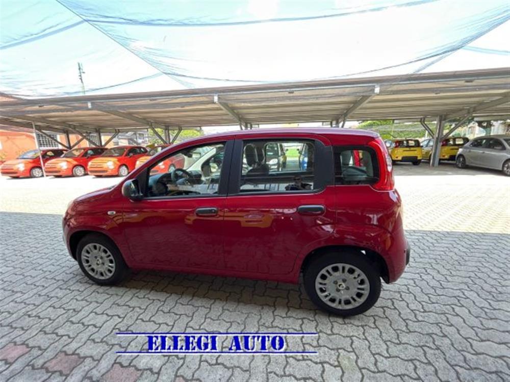 Panda   Panda 1.0 HYBRID 5 POSTI +