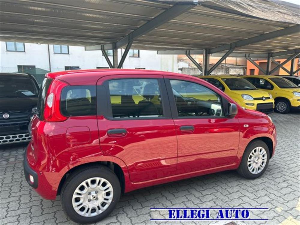 Panda   Panda 1.0 HYBRID 5 POSTI +