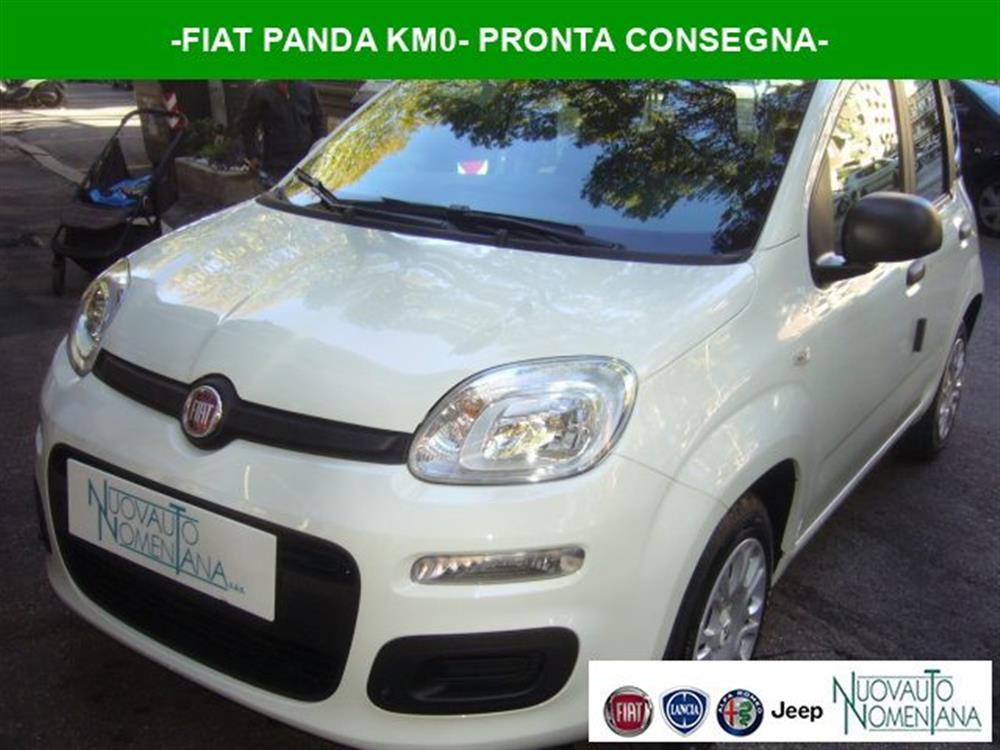 Panda   Panda 1.0 FireFly S&S Hybr