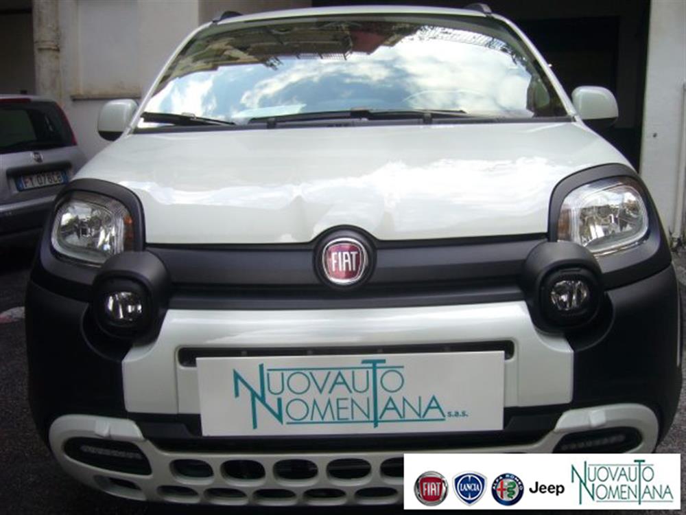 Pandina   Pandina Cross Pandina 1.0 Fi