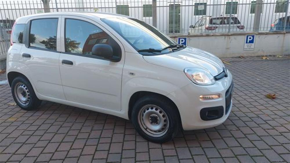 Panda   Panda 1.0 GSE S&S Hybrid P