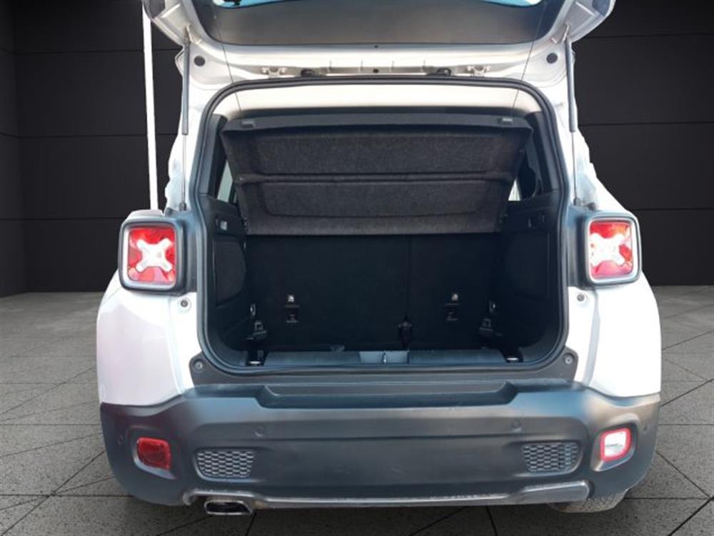 Renegade   Renegade 1.6 Mjt DDCT 120 CV