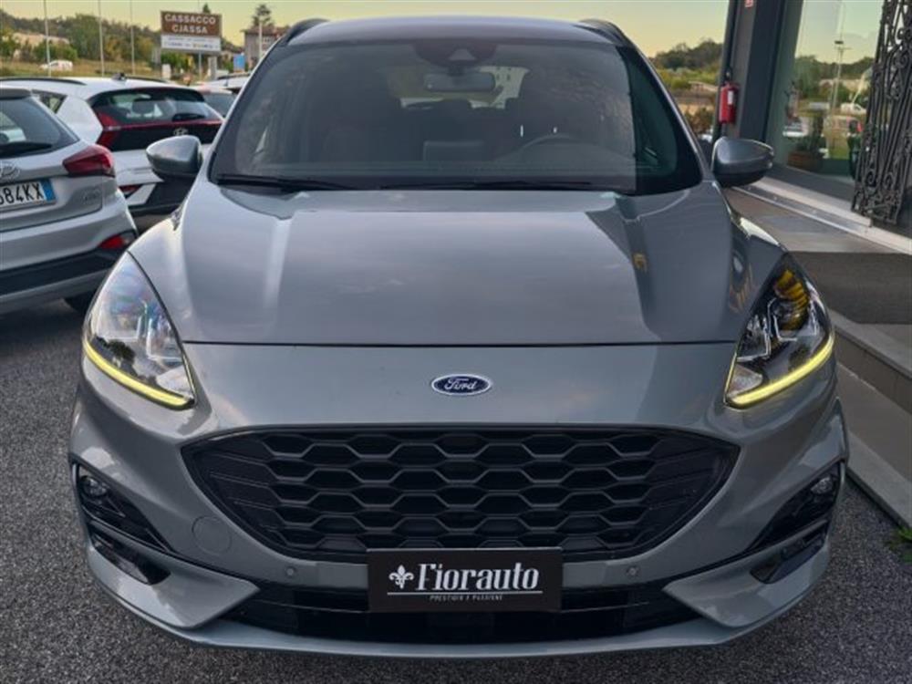 Kuga   Kuga 1.5 EcoBlue 120 CV 2