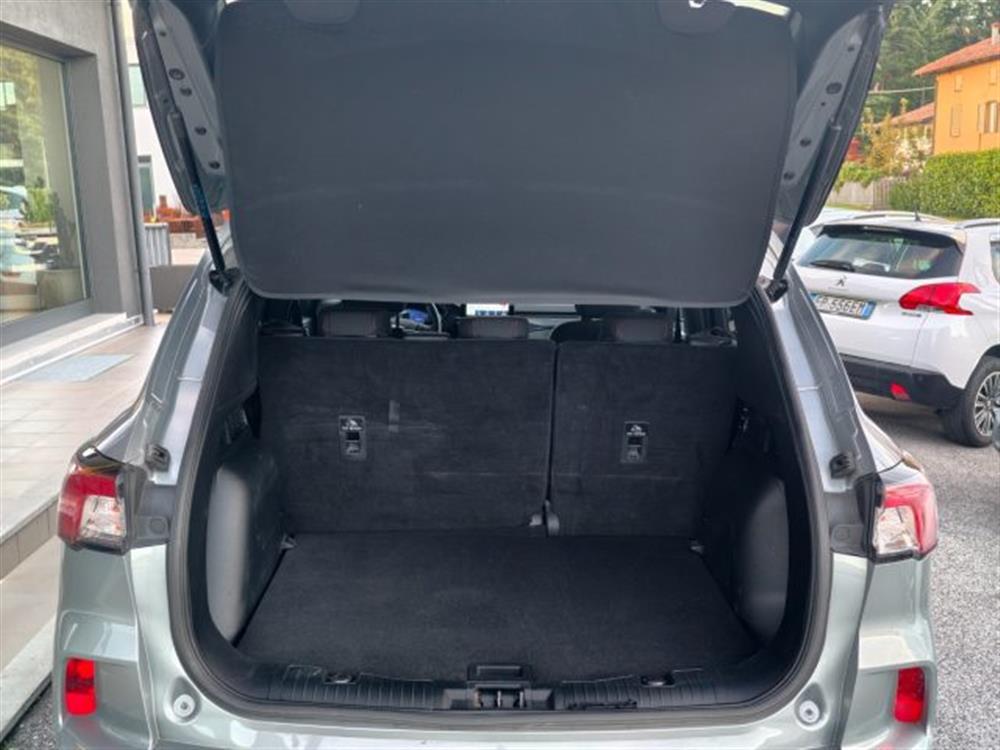 Kuga   Kuga 1.5 EcoBlue 120 CV 2