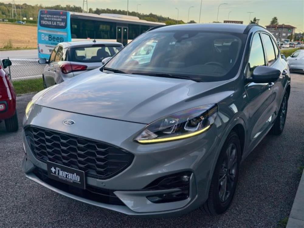 Kuga   Kuga 1.5 EcoBlue 120 CV 2