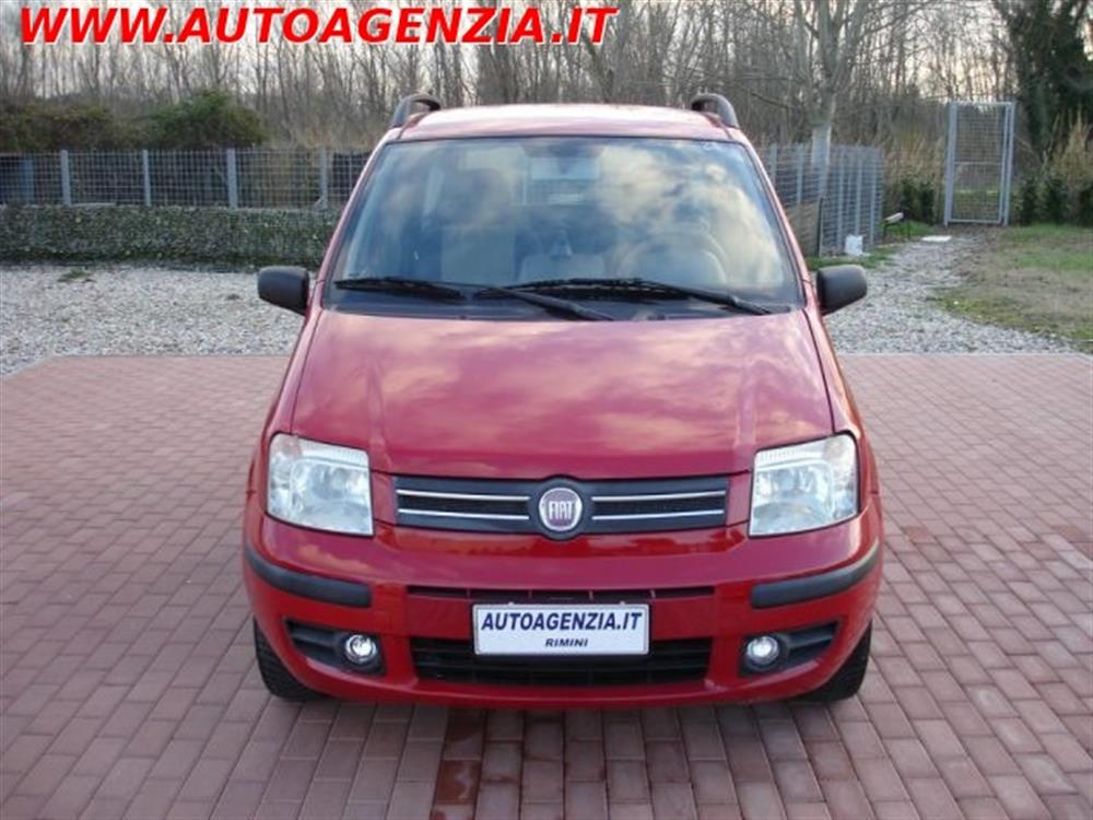 Panda   Panda 1.2 Dynamic Natural