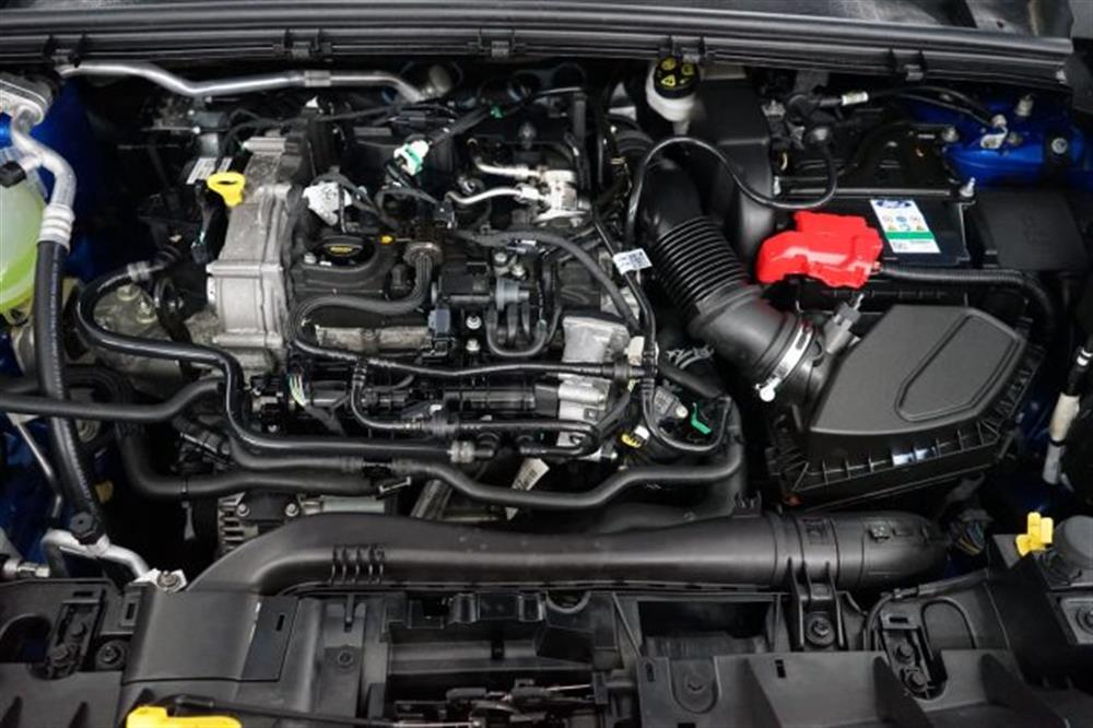 Puma   Puma 1.0 EcoBoost Hybrid