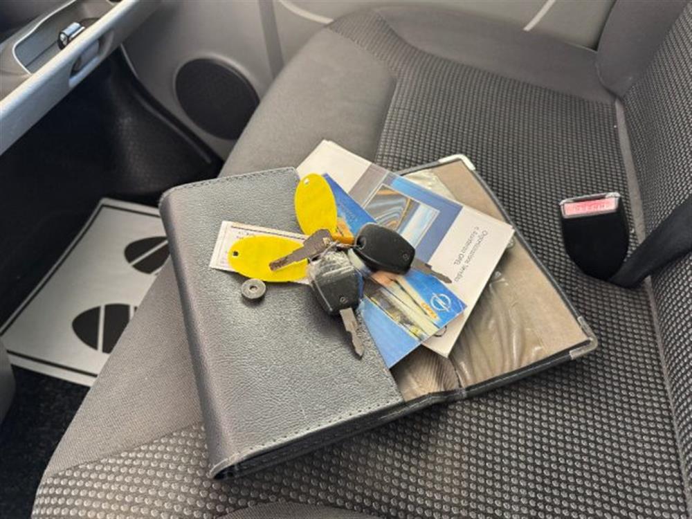 Vivaro   Vivaro 9 posti pianale elet