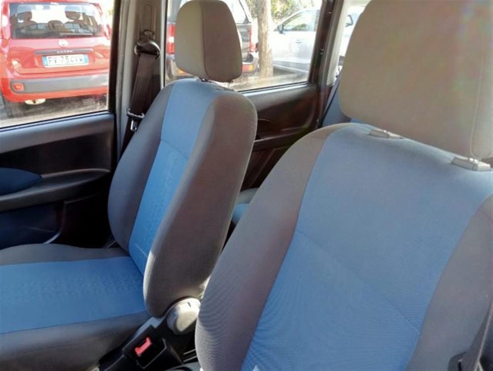 Panda   Panda 1.2 Dynamic Natural