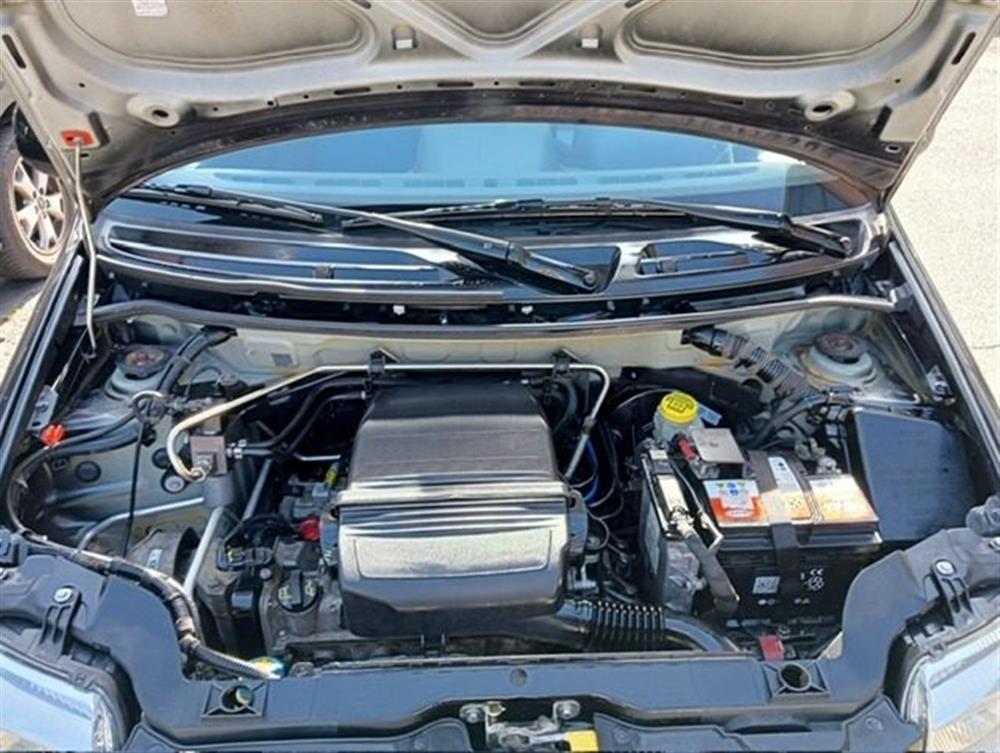 Panda   Panda 1.2 Dynamic Natural