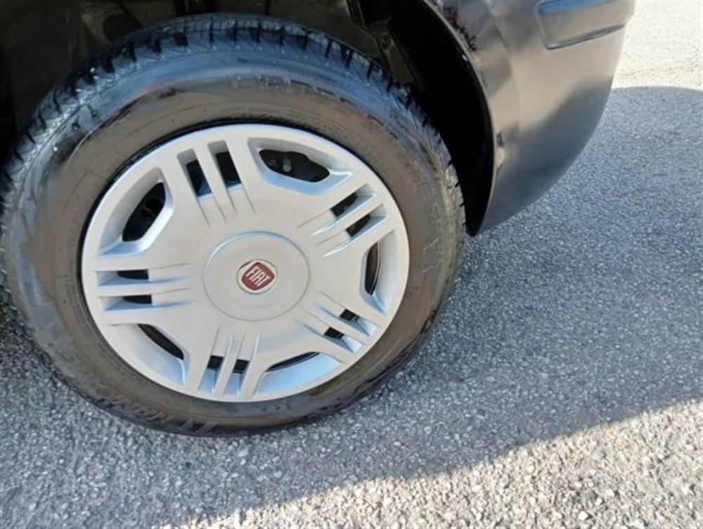 Panda   Panda 1.2 Dynamic Natural