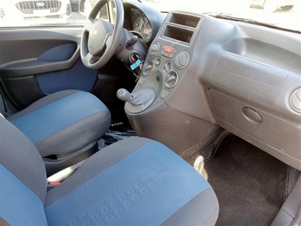 Panda   Panda 1.2 Dynamic Natural