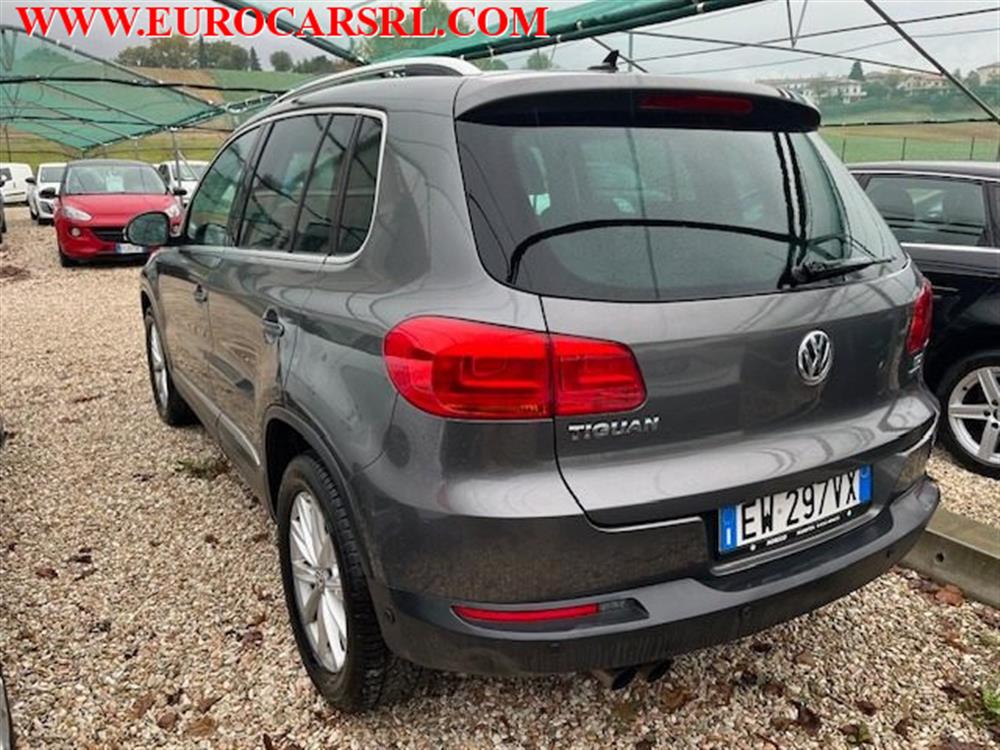 Tiguan Tiguan 2.0 TDI 110 CV Sport