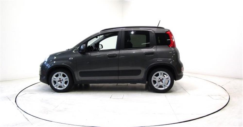 Panda   Panda 1.0 FireFly Hybrid C