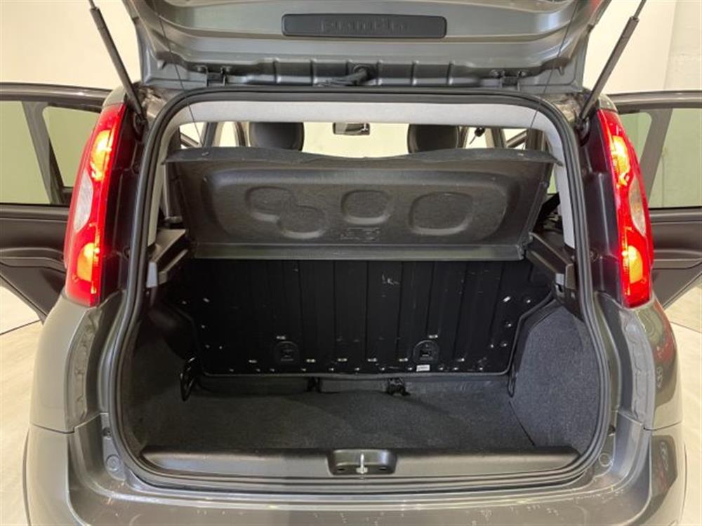 Panda   Panda 1.0 FireFly Hybrid C