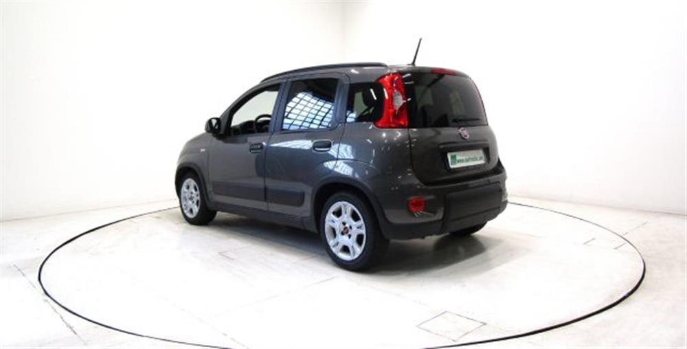 Panda   Panda 1.0 FireFly Hybrid C