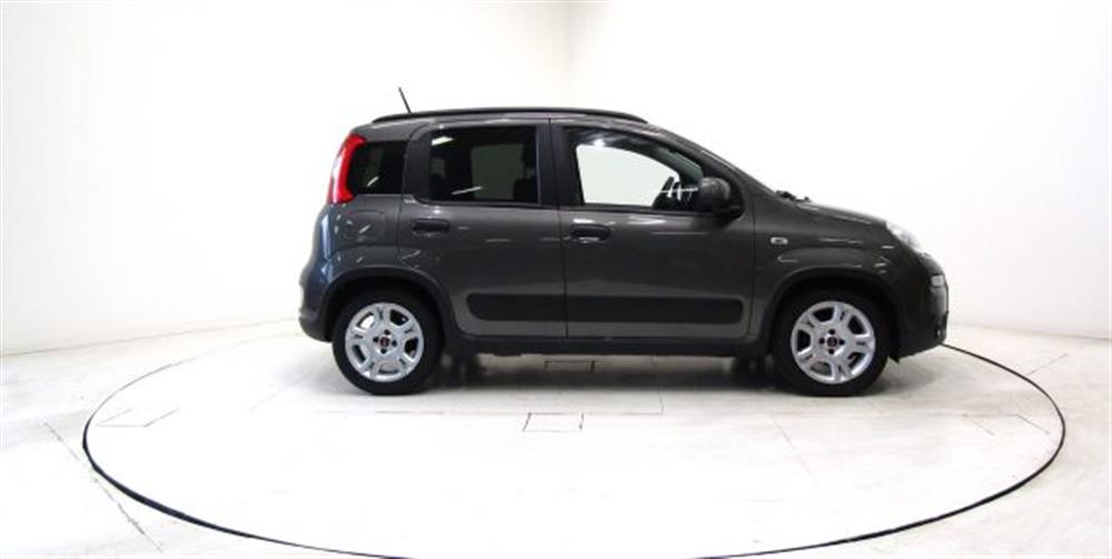 Panda   Panda 1.0 FireFly Hybrid C