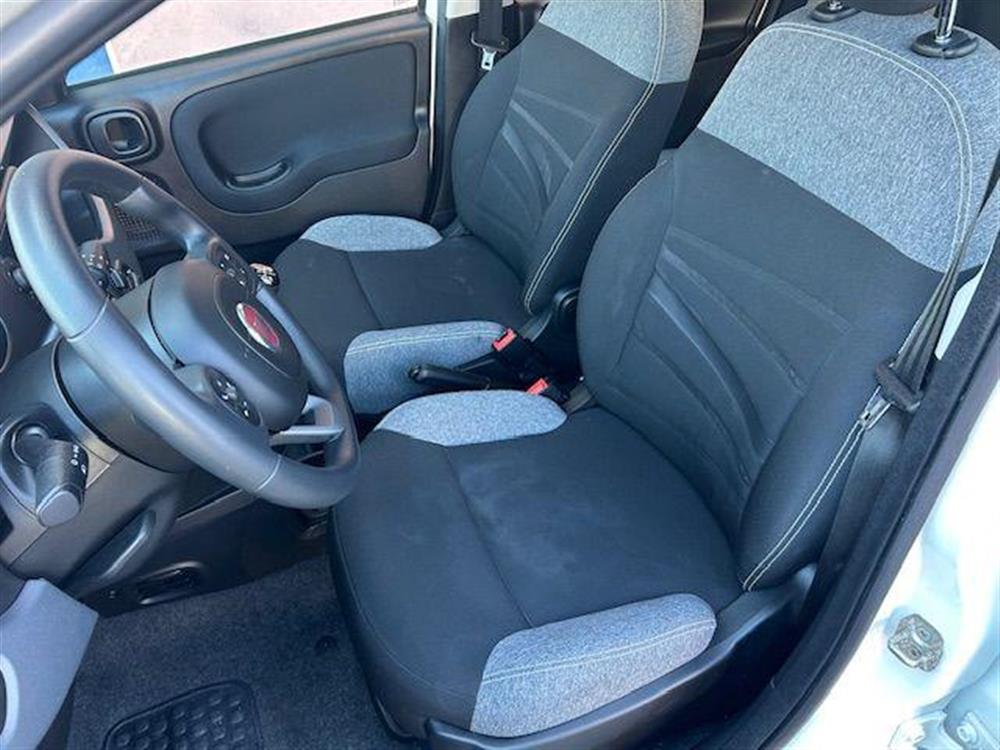 Panda   Panda 1.0 FireFly S&S Hybr