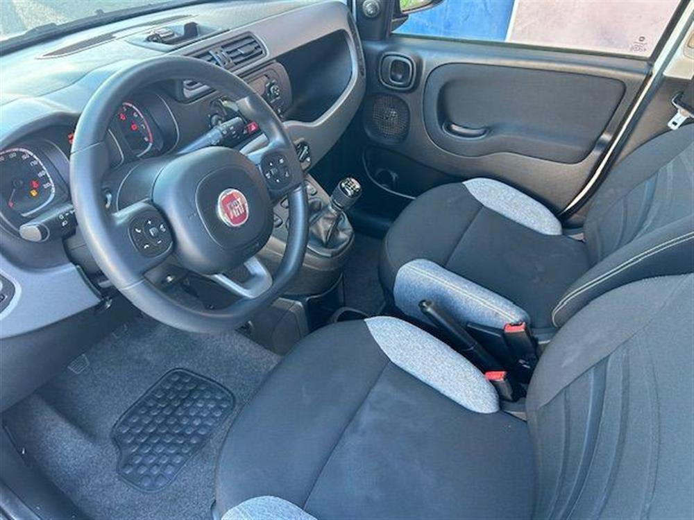 Panda   Panda 1.0 FireFly S&S Hybr